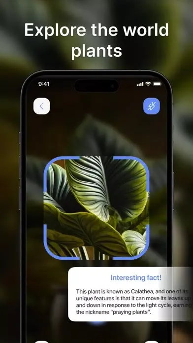 Lens Photo Scanner, Identifier Screenshots