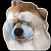 Dog meme sticker
