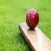 T20 Blast 2018 Cricket Betting