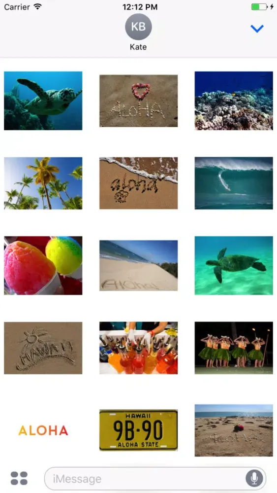 Ảnh chụp màn hình của Sandy Aloha Stickers