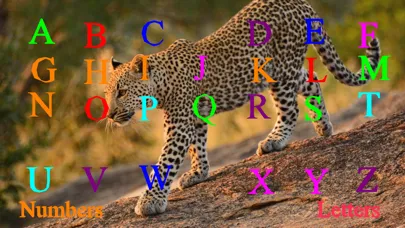 Wild Cats Sounds應用截圖