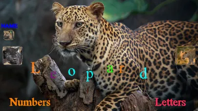 Wild Cats Sounds應用截圖