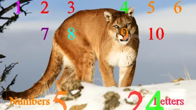 Wild Cats Sounds應用截圖