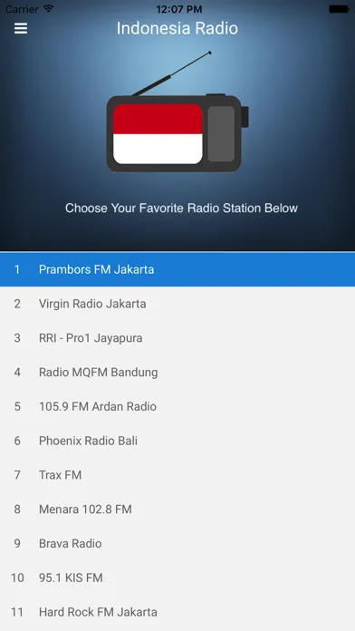 Indonesia Radio Station FM スクリーンショット
