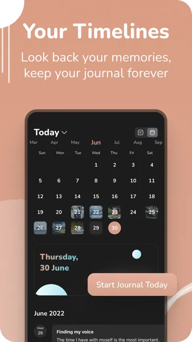 Tangkapan skrin Journal Today: A Private Diary