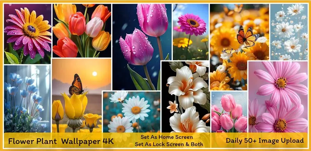 Flower HD Photo Wallpaper Ekran Görüntüleri