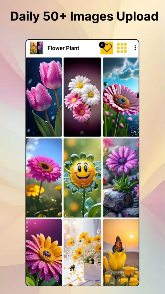 Flower HD Photo Wallpaper Ekran Görüntüleri