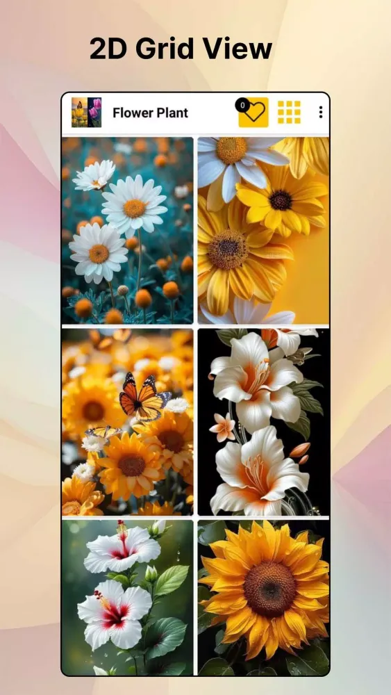 Flower HD Photo Wallpaper Ekran Görüntüleri