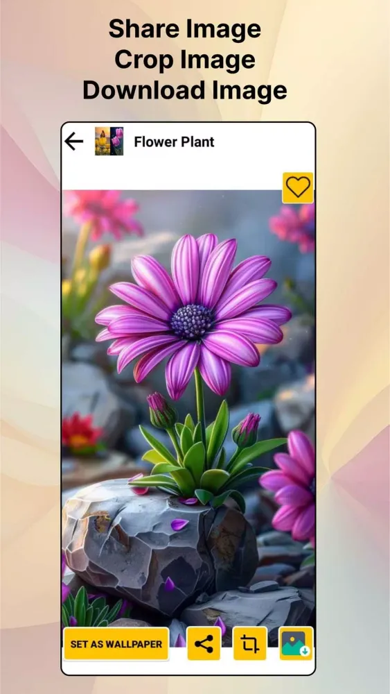 Flower HD Photo Wallpaper Ekran Görüntüleri