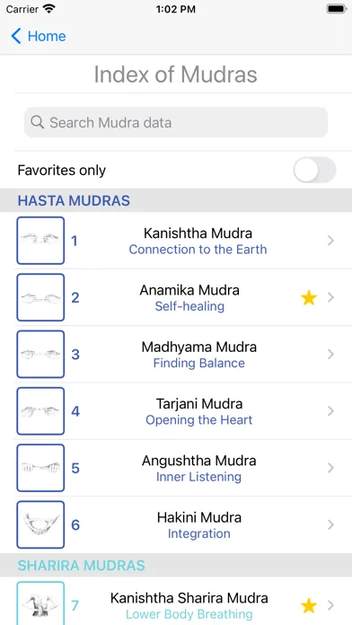 Tangkapan layar Hand Mudras