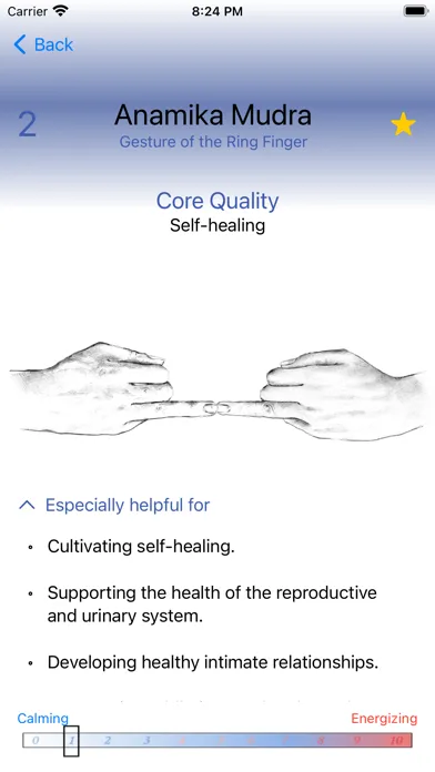 Tangkapan layar Hand Mudras