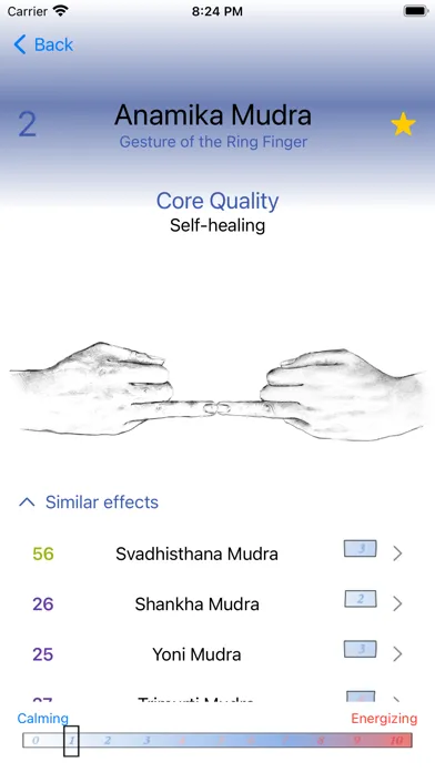 Tangkapan layar Hand Mudras
