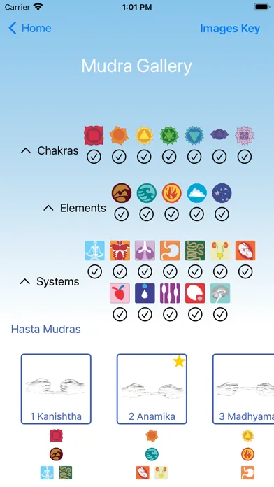 Tangkapan layar Hand Mudras