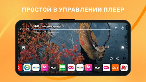 Лайт HD TV: онлайн тв каналы Screenshots