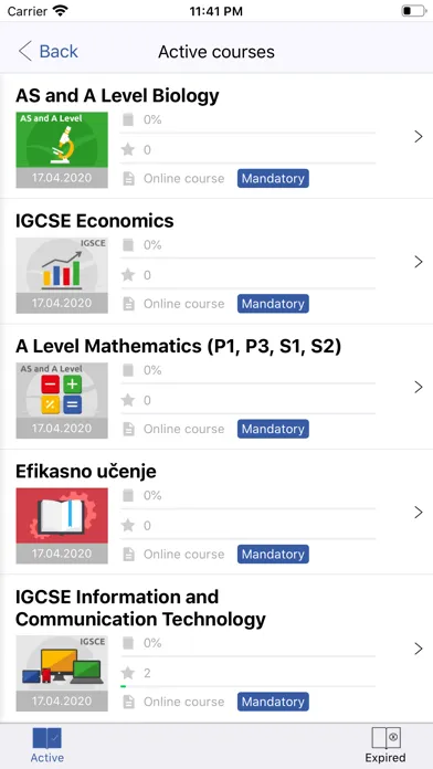 International School 스크린샷