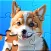Jigsaw Puzzles