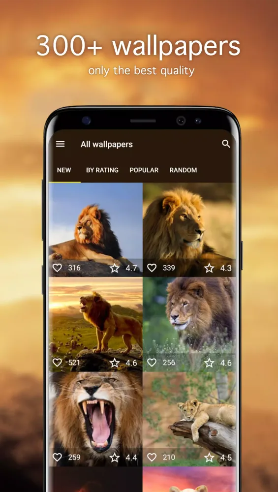 Lion Wallpapers 4K Screenshots