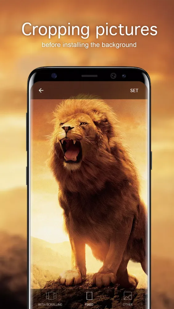 Lion Wallpapers 4K Screenshots