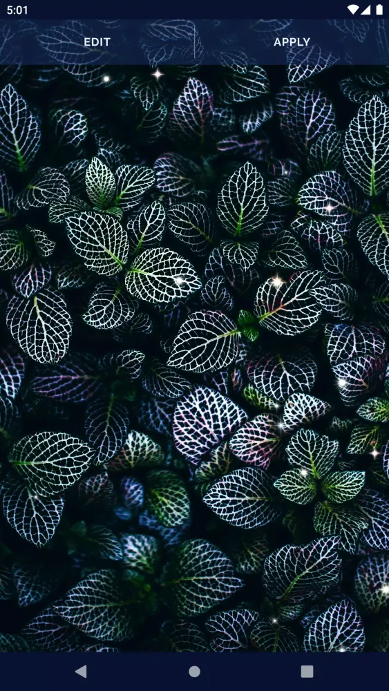 HD Live Wallpaper for OPPO应用截图