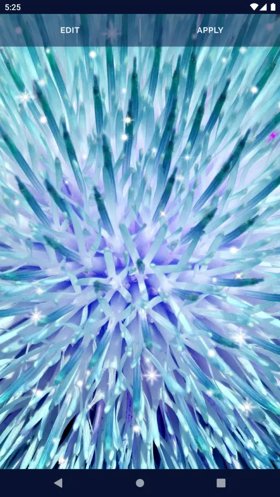 Live Wallpapers with sounds应用截图