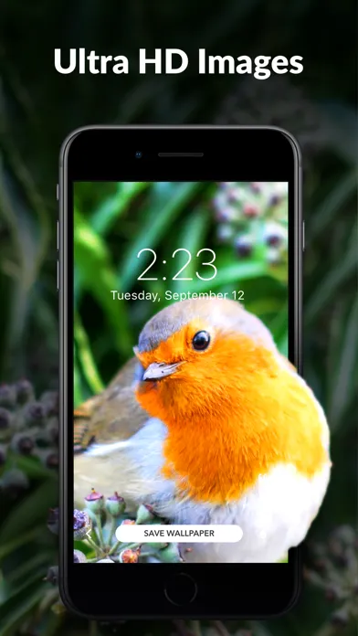 Wallpaper Tree: 4K Wallpapers應用截圖