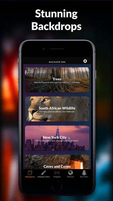 Wallpaper Tree: 4K Wallpapers應用截圖