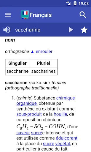 French Dictionary - Offline स्क्रीनशॉट