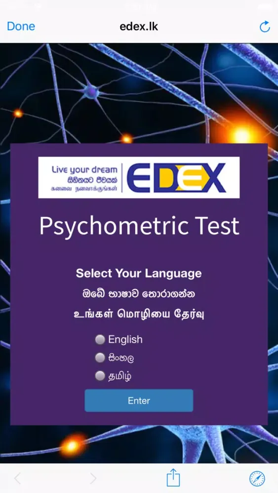 Скриншоты EDEX Expo