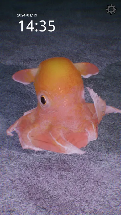 mendako : Deepsea Watching Ekran Görüntüleri