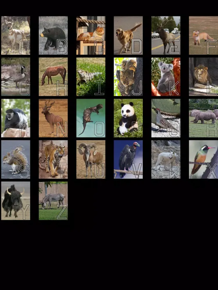 صور LetterWize iPad 