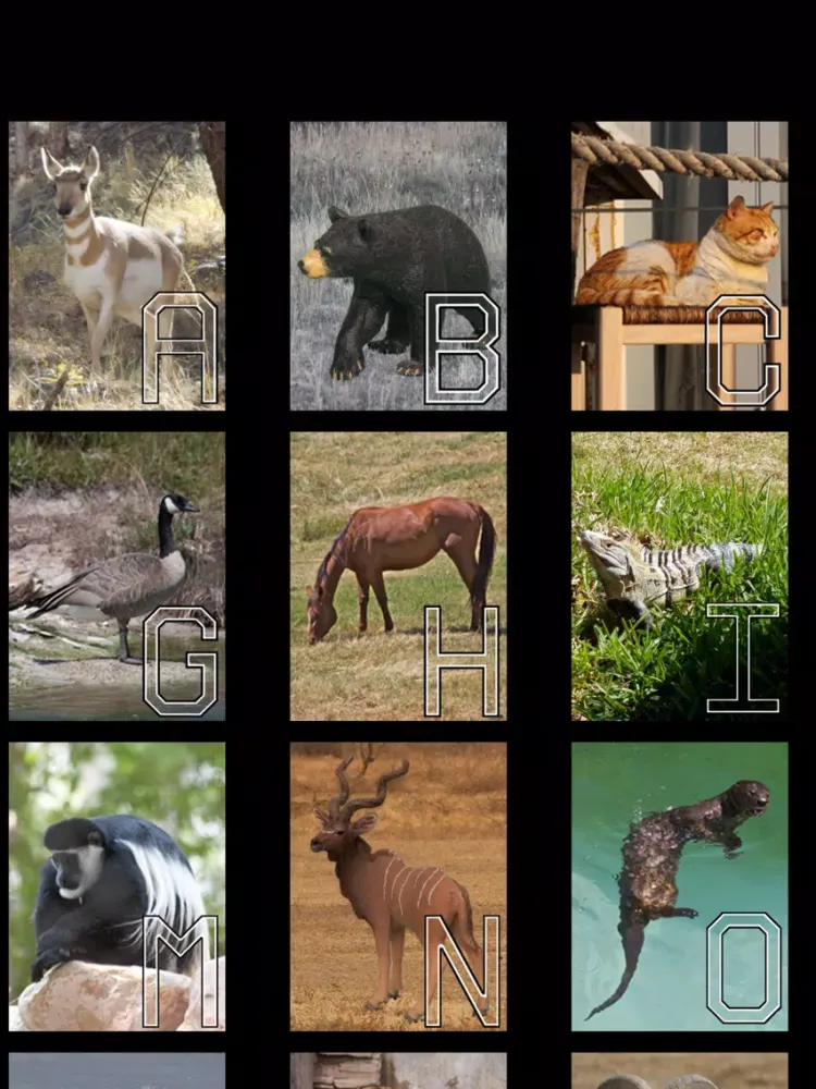 صور LetterWize iPad 