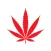 Local Joint: Dispensary