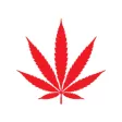 Local Joint: Dispensary Local Joint: Dispensary