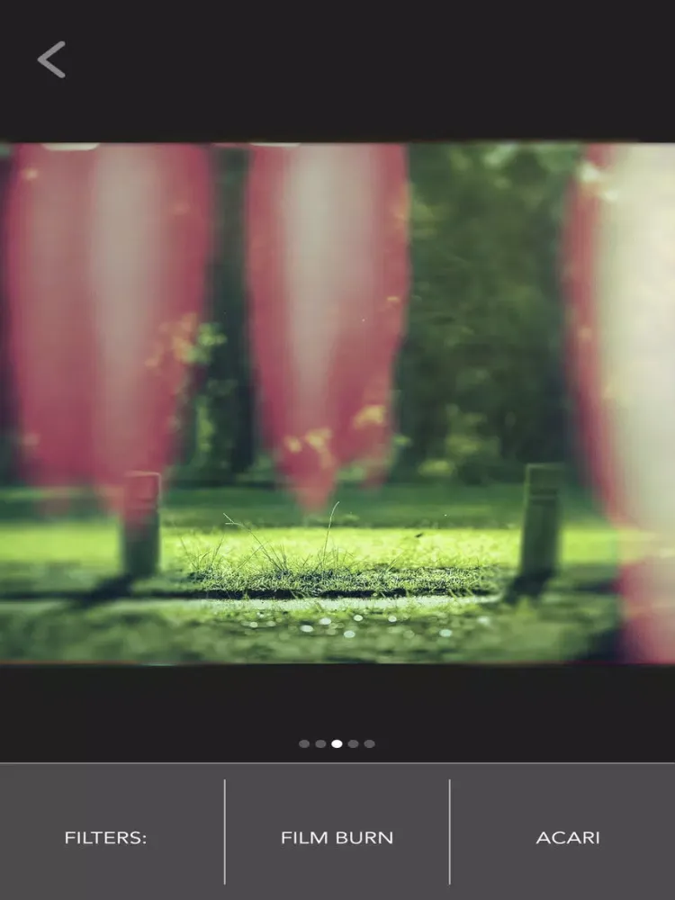 Скриншоты Lomograph Film iPad 