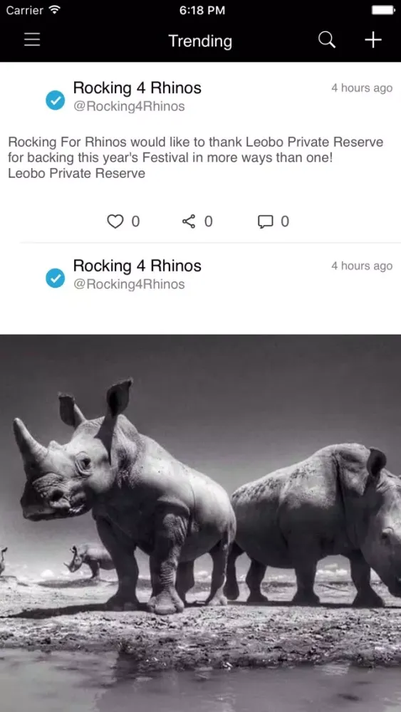 Rocking For Rhinos Screenshots