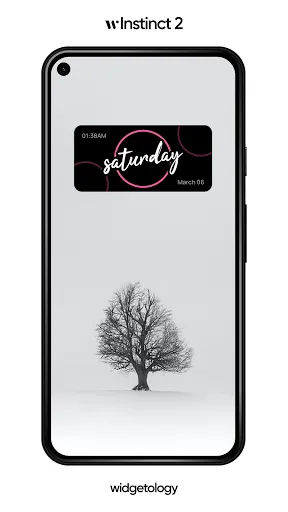 Instinct 2 KWGT Screenshots