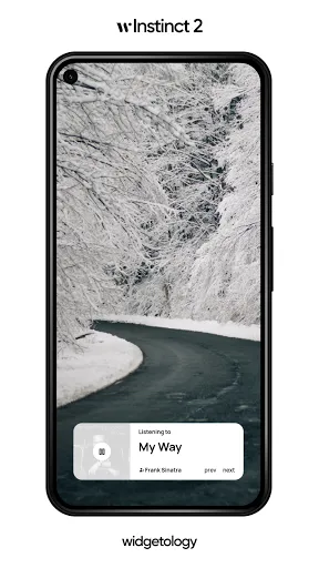 Instinct 2 KWGT Screenshots