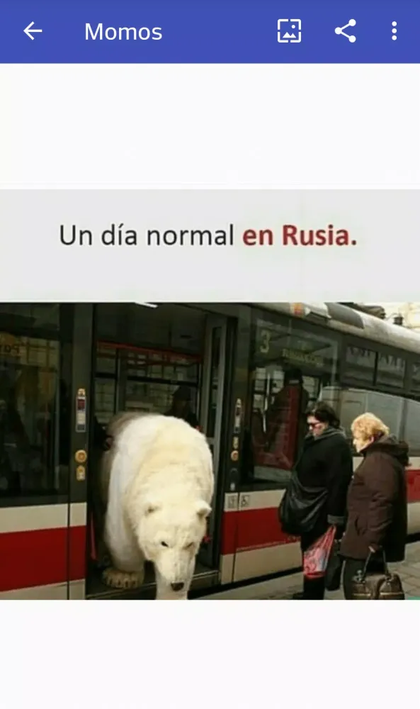 Capturas de pantalla de Momos