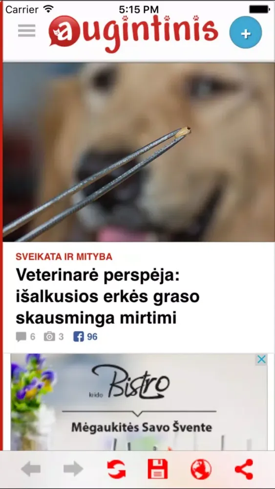 Augintinis应用截图