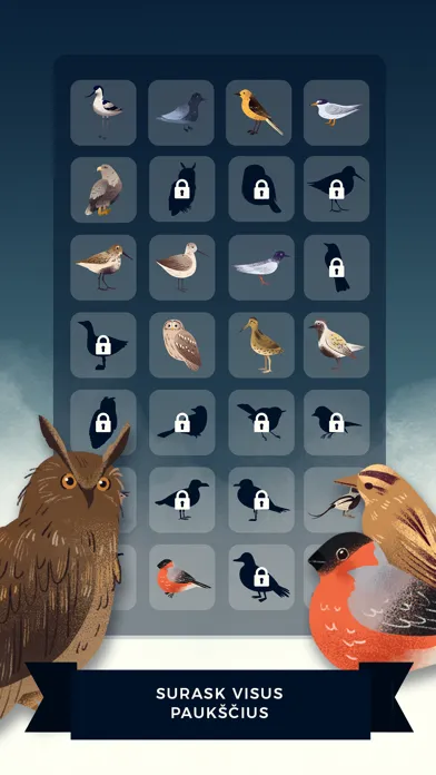 Birds Routes應用截圖