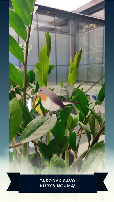 Birds Routes應用截圖