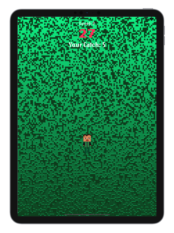 Ảnh chụp màn hình của Catch Miney iPad 