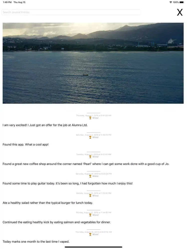 My Best Self iPad 應用截圖