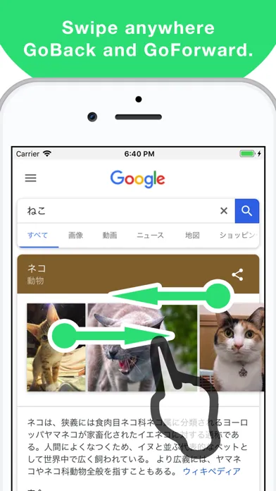 Ruru - One Hand Web Browser سکرین شاٹس