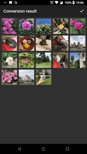 Zrzuty ekranu Luma: heic to jpg converter