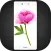 Theme for Xiaomi Mi Max