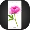 Theme for Xiaomi Mi Max