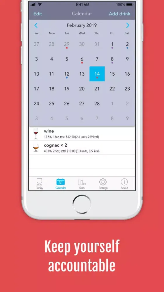 DrinkControl – Alcohol Tracker Screenshots