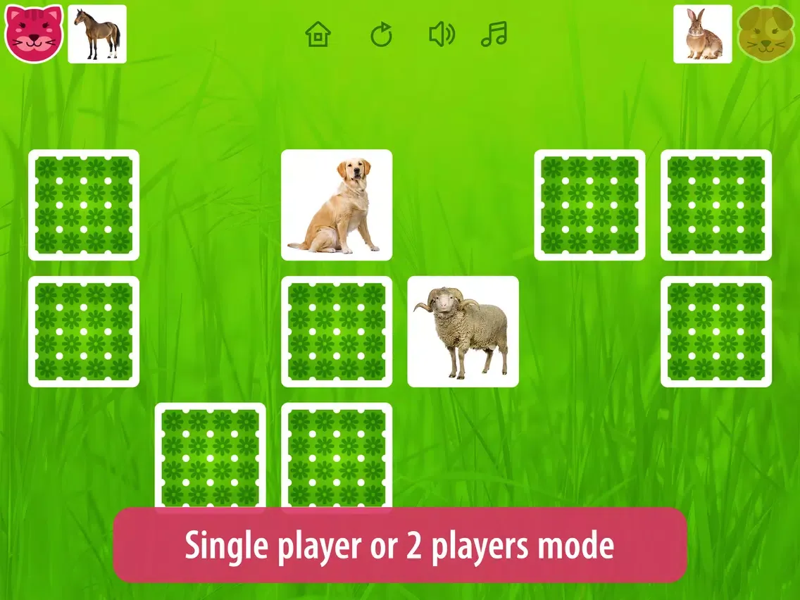 Zrzuty ekranu Farm Pairs - Match Animals iPad 