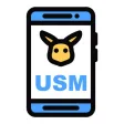 Battle Party for Pokemon USM